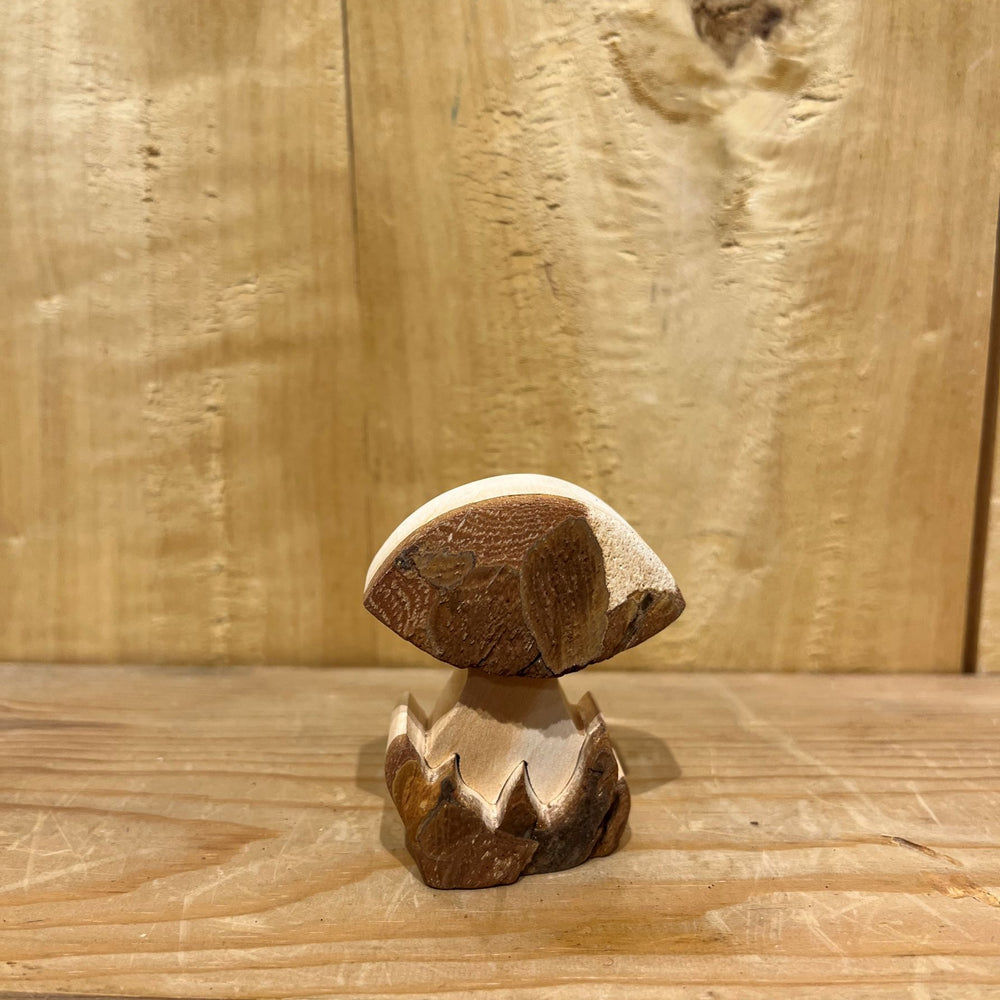 
                      
                        Bark Mushrooms
                      
                    
