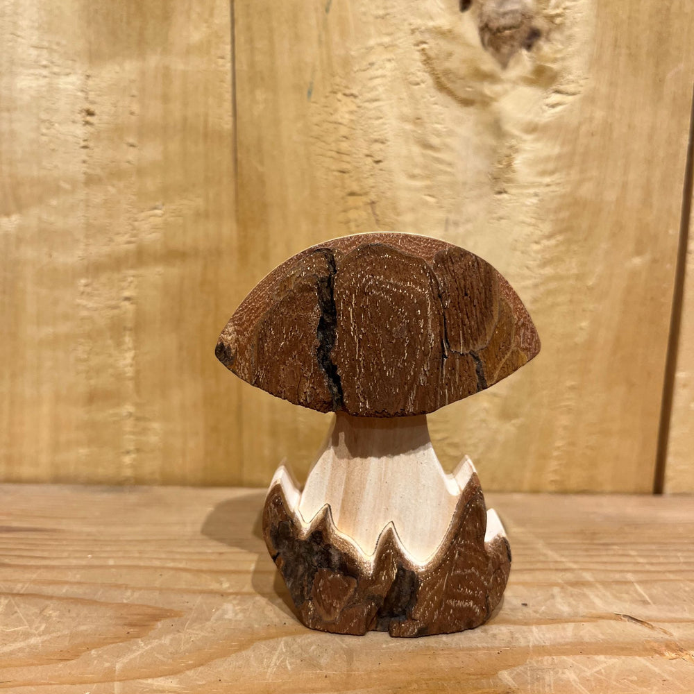 
                      
                        Bark Mushrooms
                      
                    
