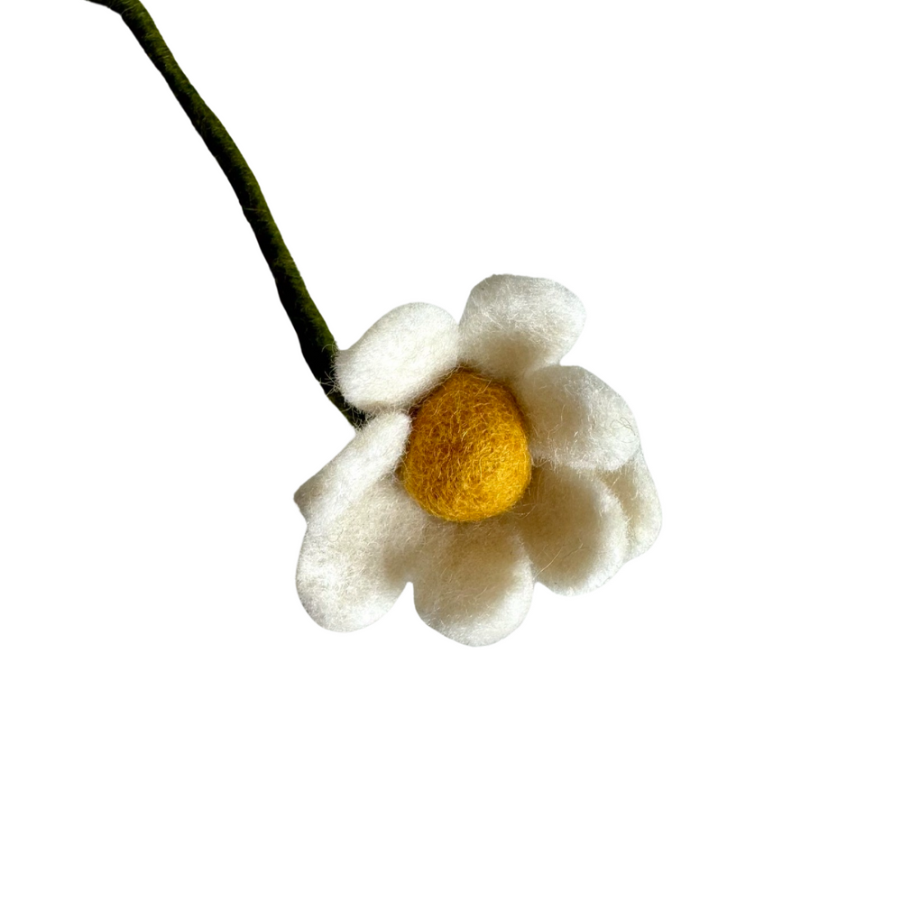 
                      
                        Felted Anemone Flower
                      
                    