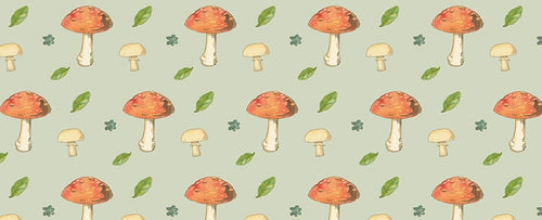 
                      
                        Tales of the Mushroom Folk
                      
                    