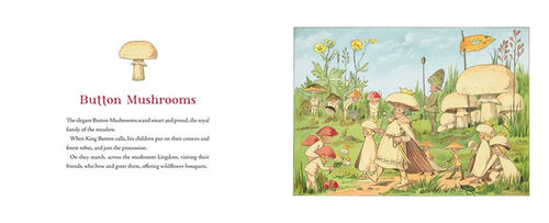 
                      
                        Tales of the Mushroom Folk
                      
                    