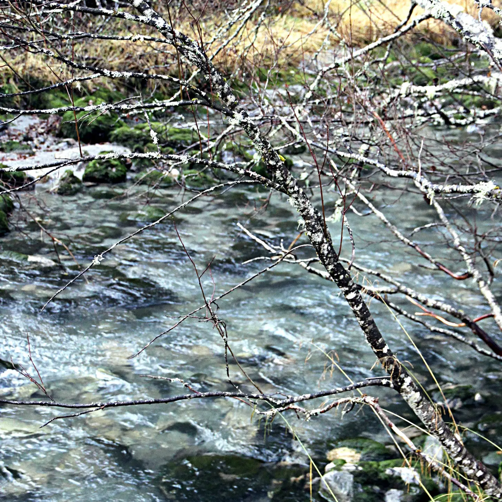 
                      
                        Wool and Silk Scarf - River
                      
                    