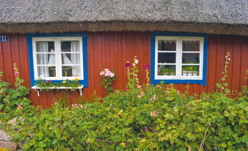 
                      
                        Sweden Book (Paperback)
                      
                    