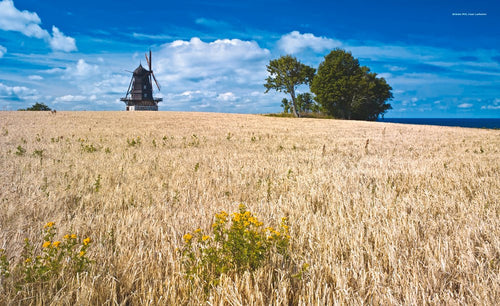 
                      
                        Sweden Book (Paperback)
                      
                    