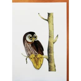 Owl - Hand-Rolled Greeting Card